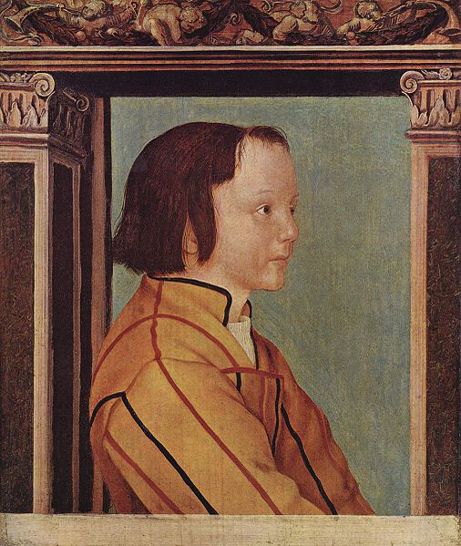 Young Boy with Brown Hair